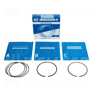 WELLFAR 005504690025 Кольца поршневые (комплект на 1 поршень)
