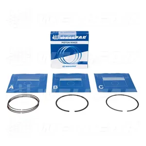 WELLFAR 005507290000 Кольца поршневые (комплект на 1 поршень)