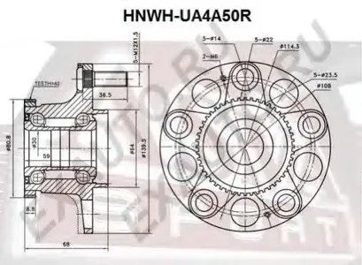 ASVA HNWHUA4A50R Ступица задняя с кольцом абс