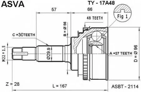 ASVA TY17A48 ШРУС внешний | перед |